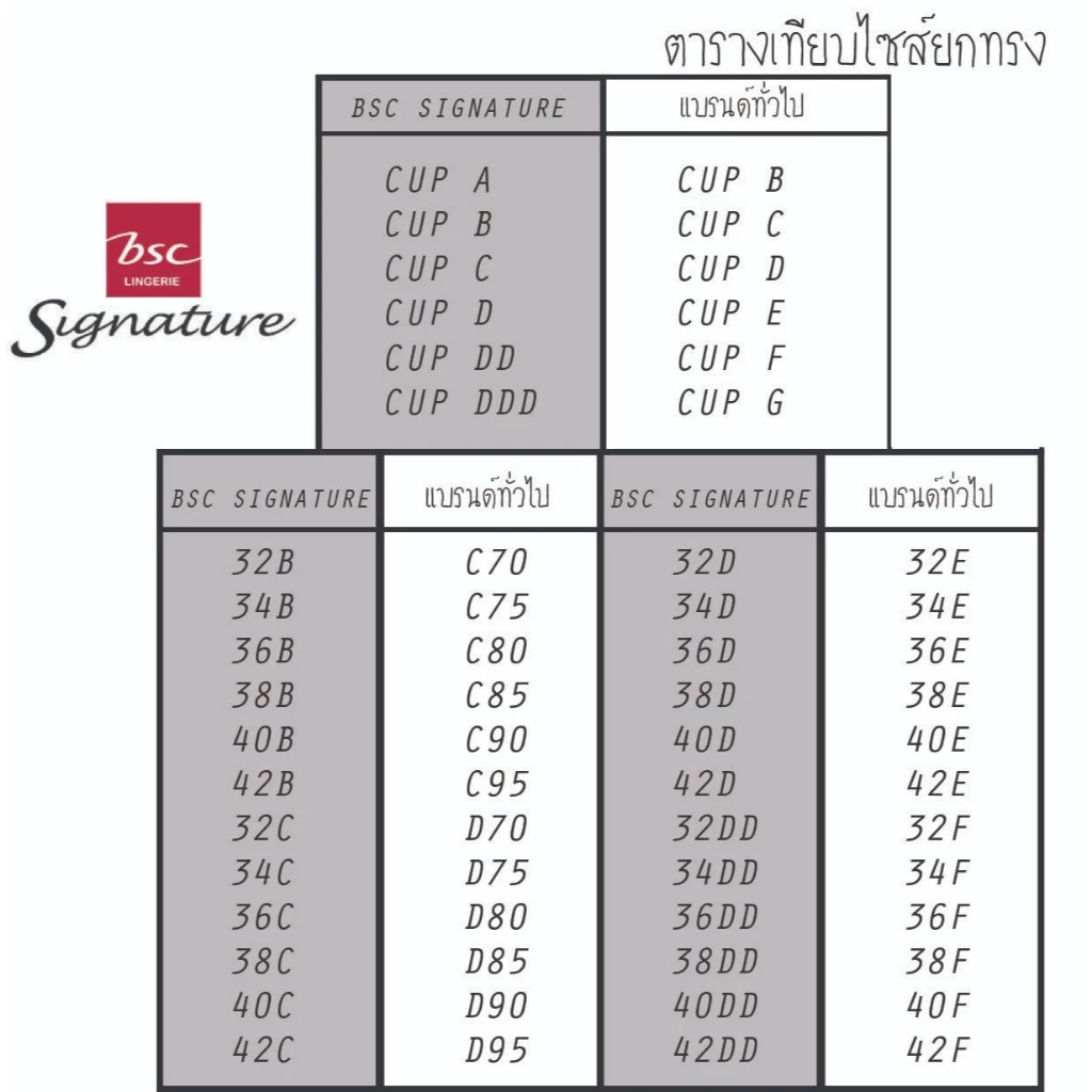 เสื้อชั้นใน แบรนด์ BSC Signature รุ่น CB3344 - Image 3