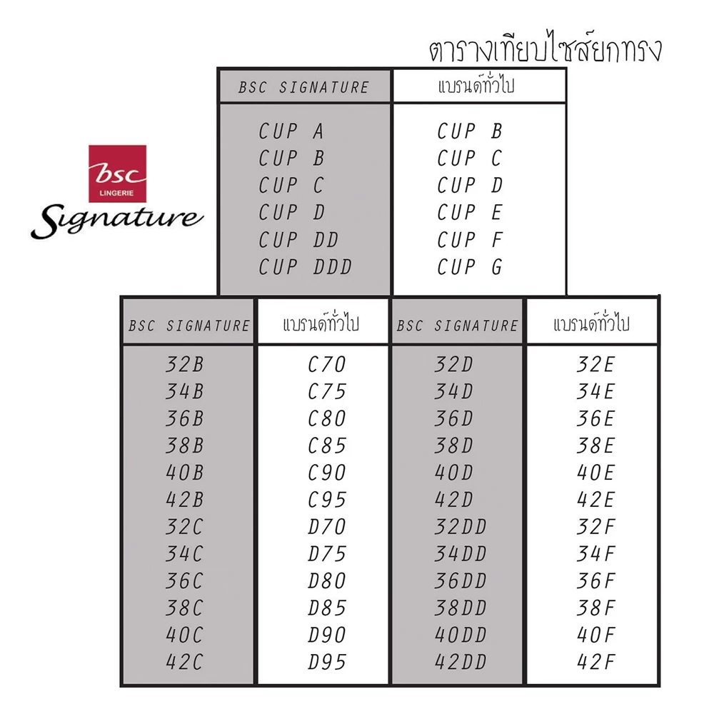 เสื้อชั้นใน แบรนด์ Signature by bsc รุ่น CB5201 - Image 10